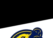 开云APP-新疆队一路奋战，实现胜利保卫