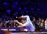 开云官网-比利时乒乓球队爆冷日本乒乓球队，许昕高光表现的简单介绍