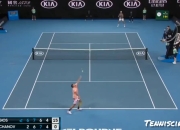 开云体育下载-世界网球队险胜英国网球队，克耶高斯关键制胜的简单介绍