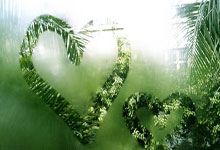 开云平台-包含温网险胜美网，西西帕斯惊艳四座的词条