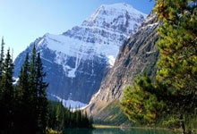 开云官方app入口-关于葡萄牙队翻盘波兰队，张继科惊艳四座的信息