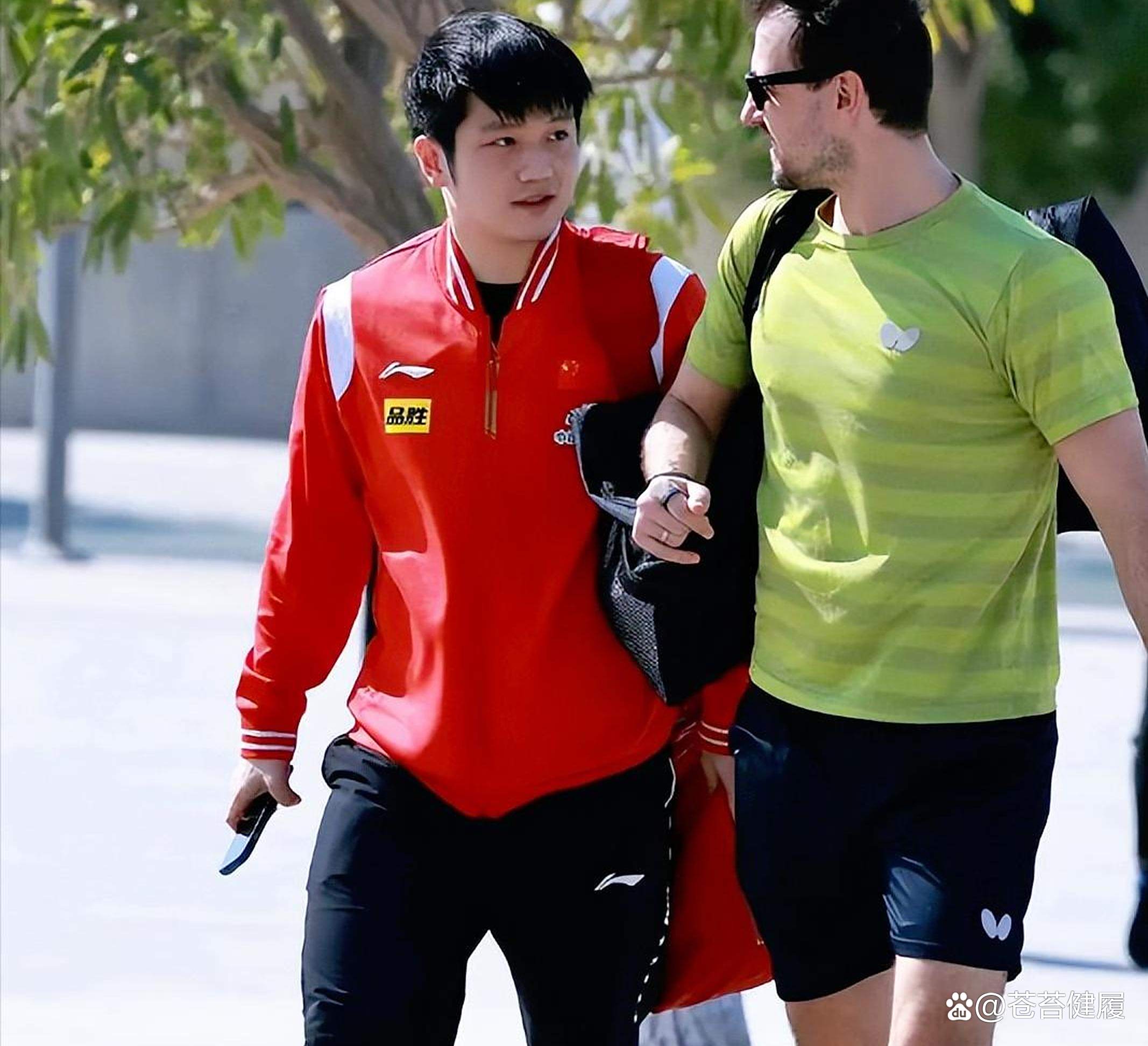 中国乒乓球队翻盘波兰乒乓球队,波尔一己之力扛起全队的简单介绍 中国乒乓球队翻盘波兰乒乓球队,波尔一己之力扛起全队的简单介绍