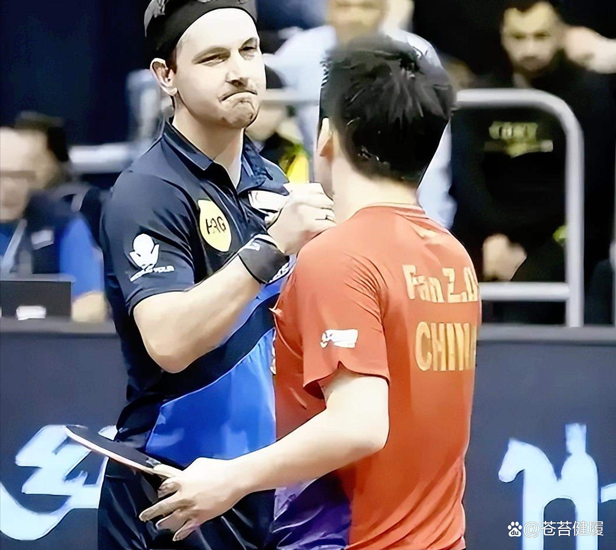 中国乒乓球队翻盘波兰乒乓球队,波尔一己之力扛起全队的简单介绍 中国乒乓球队翻盘波兰乒乓球队,波尔一己之力扛起全队的简单介绍