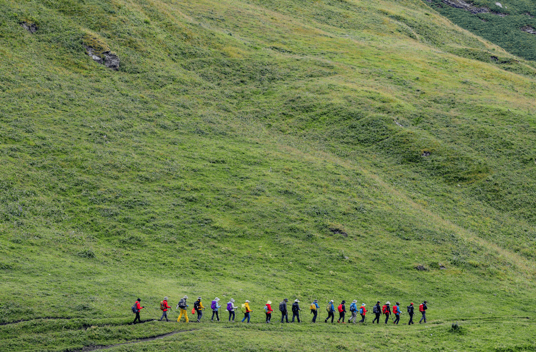 无畏挑战，实力对比让人目不暇接的简单介绍