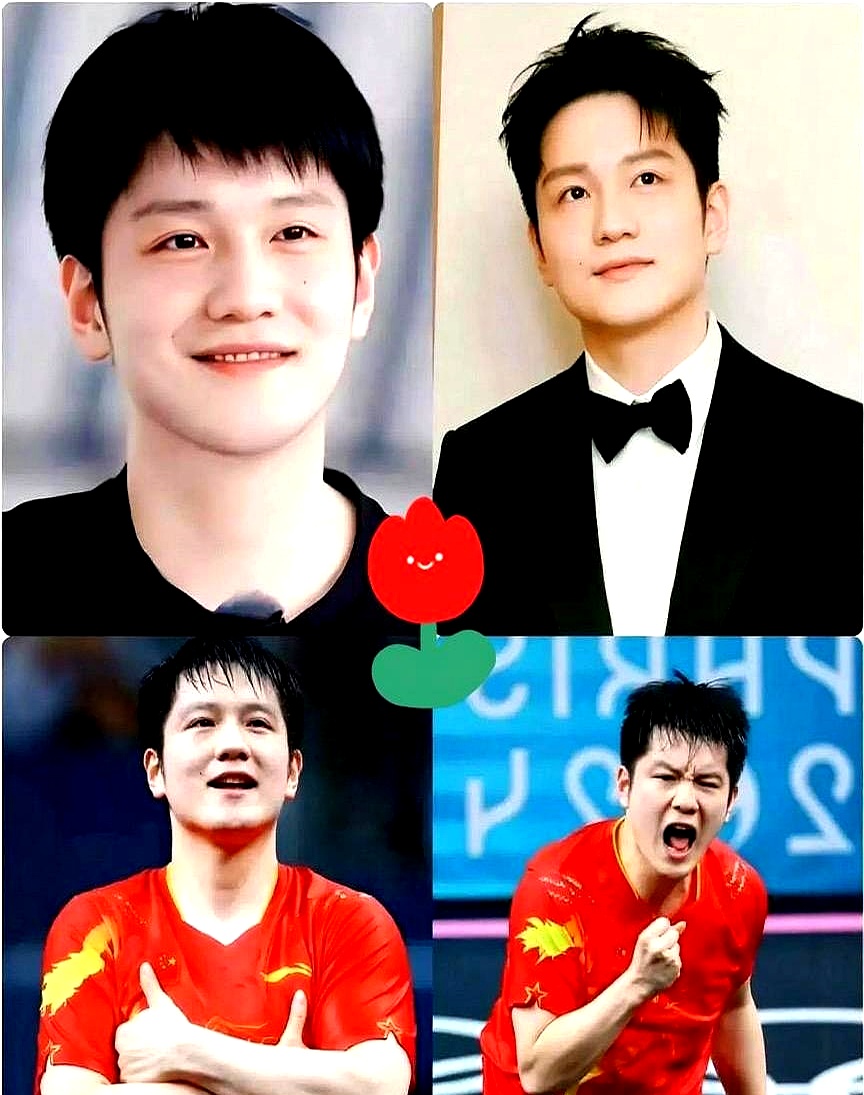 韩国队逆转德国队，樊振东扛起全队