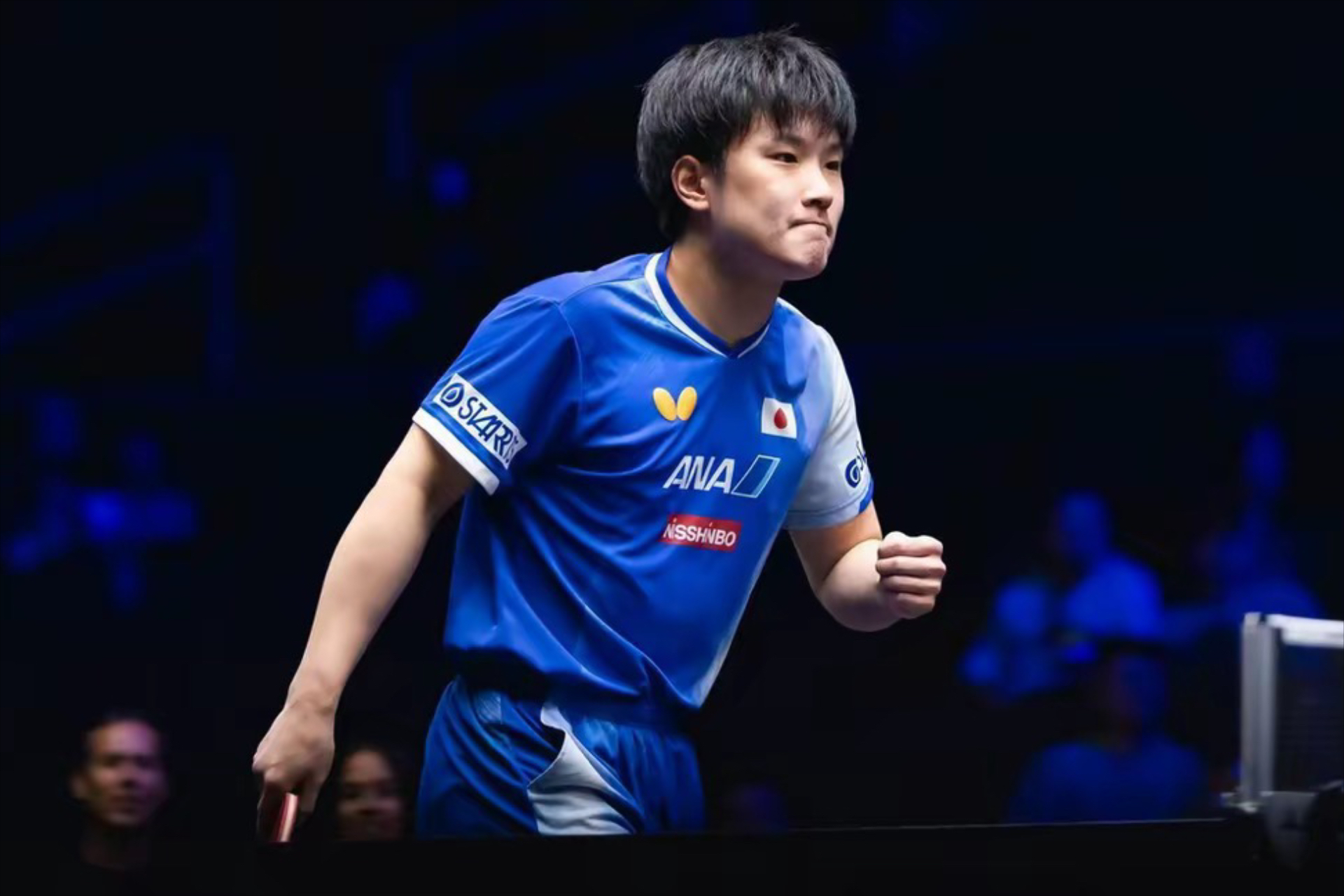 关于中国队鏖战波兰队，张本智和刷新纪录的信息