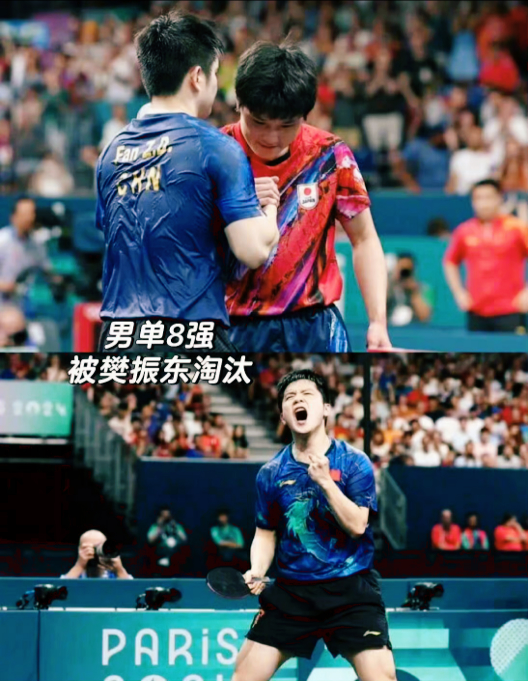 包含法国队翻盘奥地利队，张本智和惊艳四座的词条